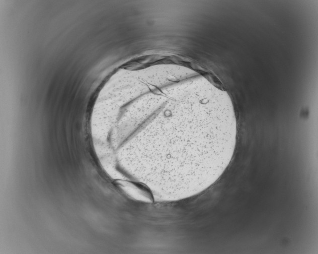 X0000113200338200910221045
