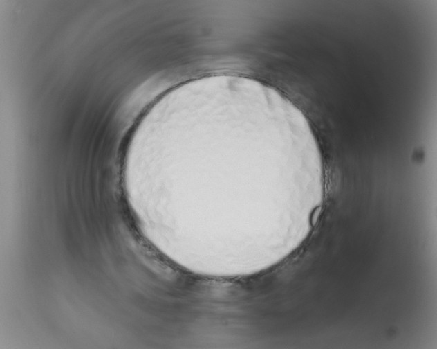 X0000113200339200910221045