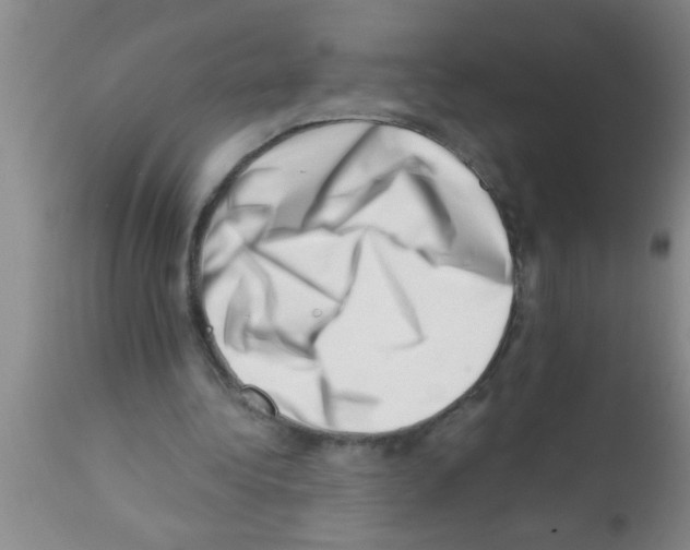 X0000113200340200910221045