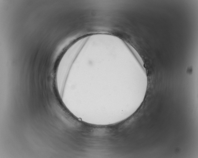 X0000113200342200910221045