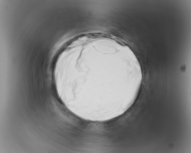X0000113200343200910221045
