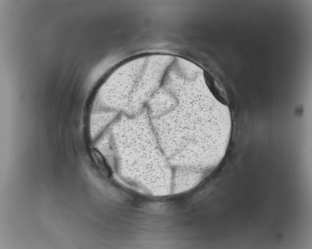 X0000113200344200910221045