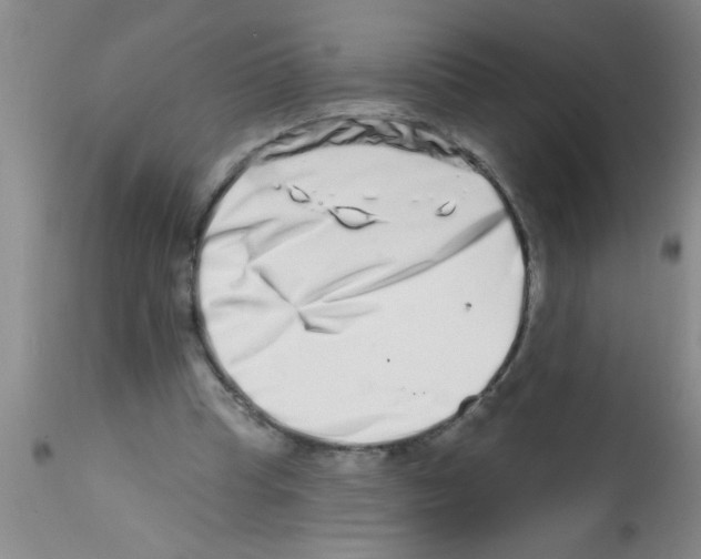 X0000113200345200910221045