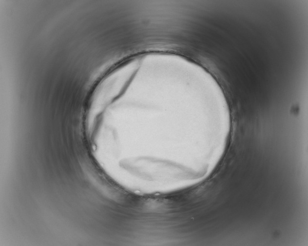 X0000113200346200910221045