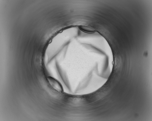 X0000113200348200910221045