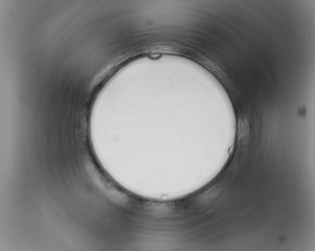 X0000113200349200910221045