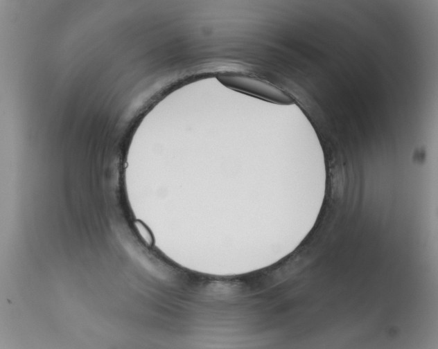 X0000113200350200910221045
