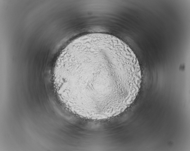 X0000113200351200910221045