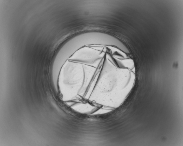 X0000113200352200910221045