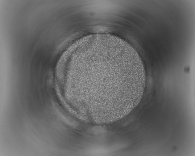 X0000113200353200910221045