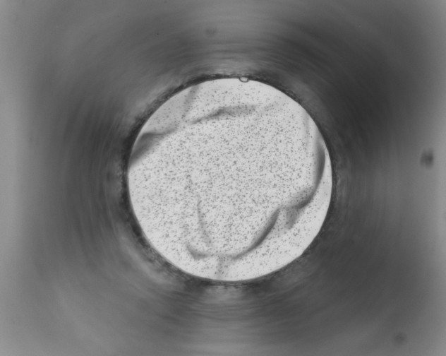 X0000113200354200910221045