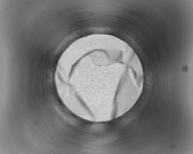 X0000113200357200910221045