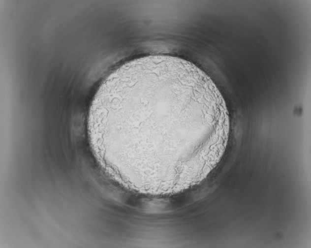 X0000113200359200910221045