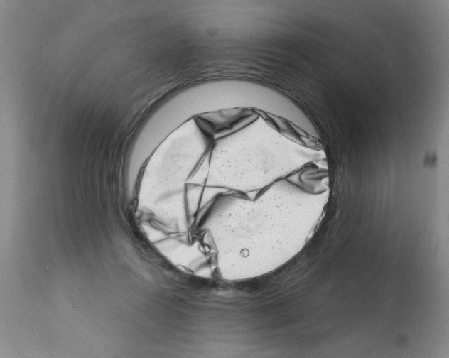 X0000113200360200910221045
