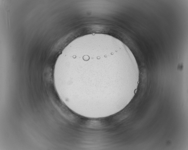 X0000113200361200910221045