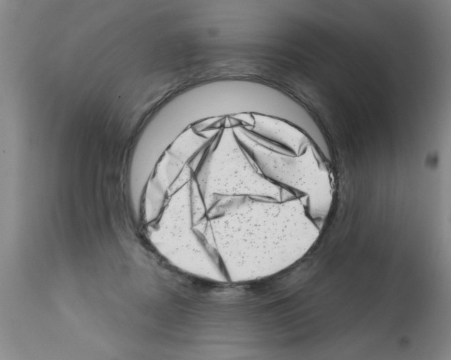 X0000113200362200910221045