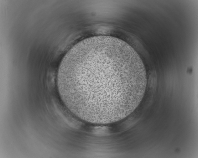 X0000113200363200910221045