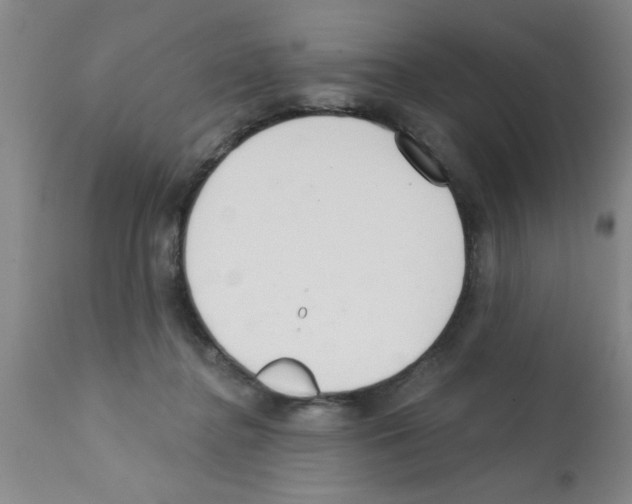 X0000113200364200910221045
