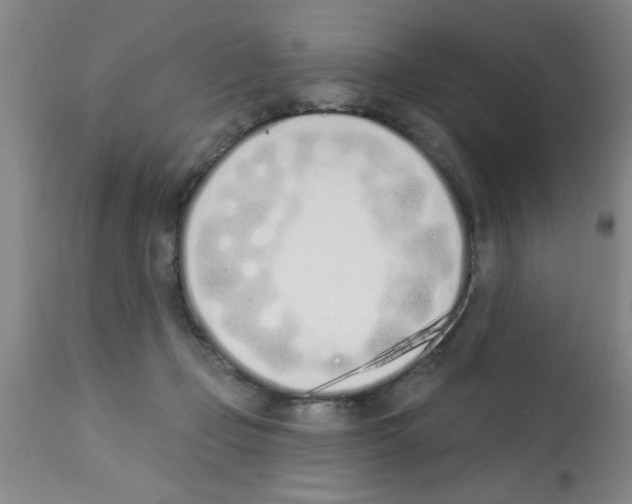X0000113200365200910221045