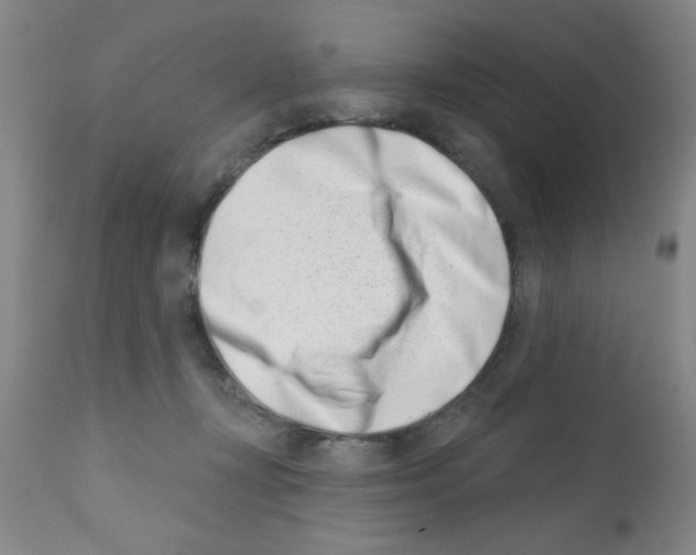 X0000113200367200910221045