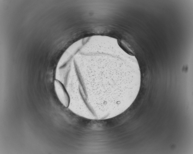 X0000113200368200910221045