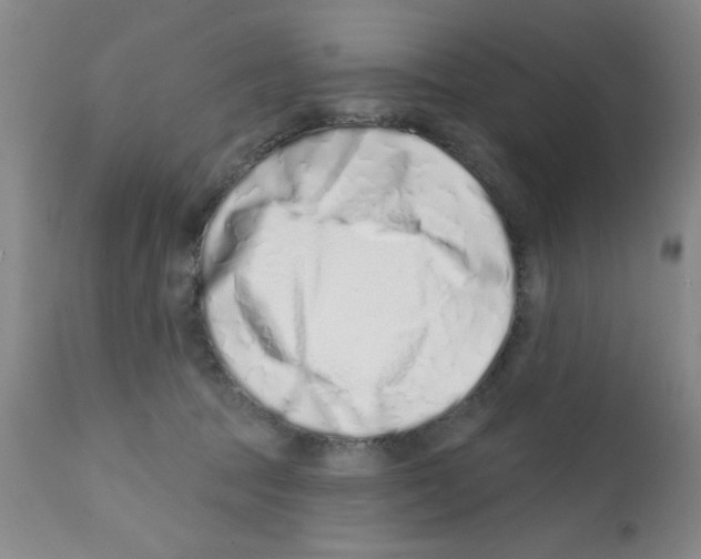 X0000113200369200910221045