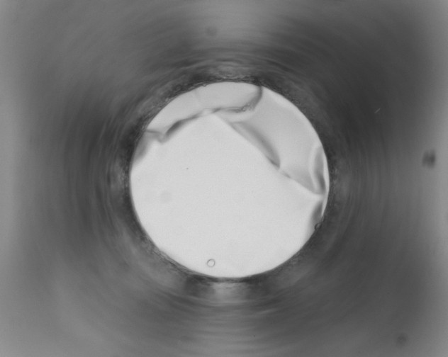 X0000113200371200910221045