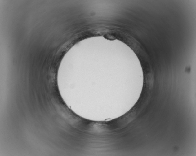 X0000113200372200910221045