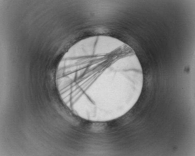 X0000113200373200910221045