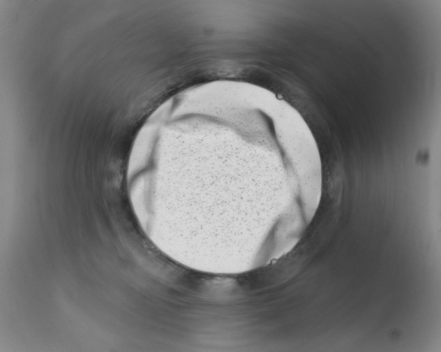 X0000113200374200910221045