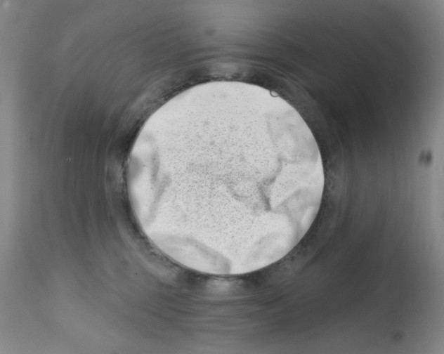 X0000113200375200910221045