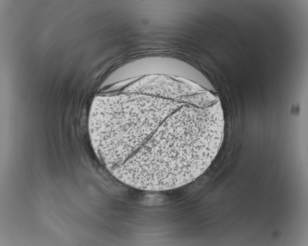 X0000113200376200910221045