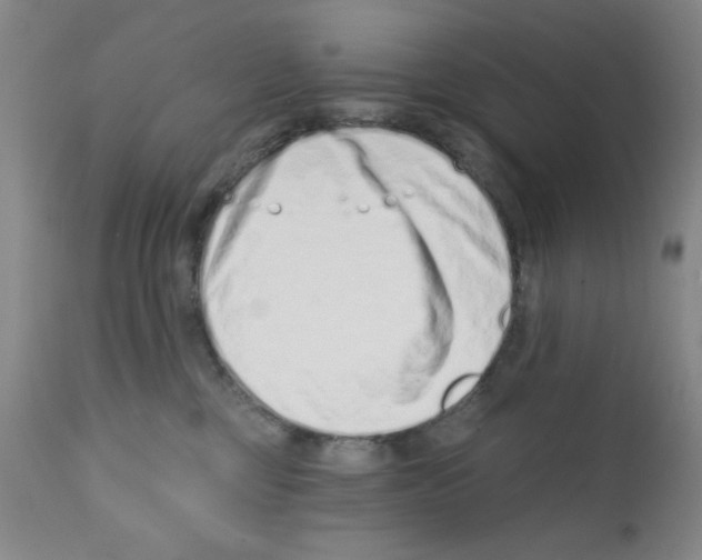 X0000113200377200910221045