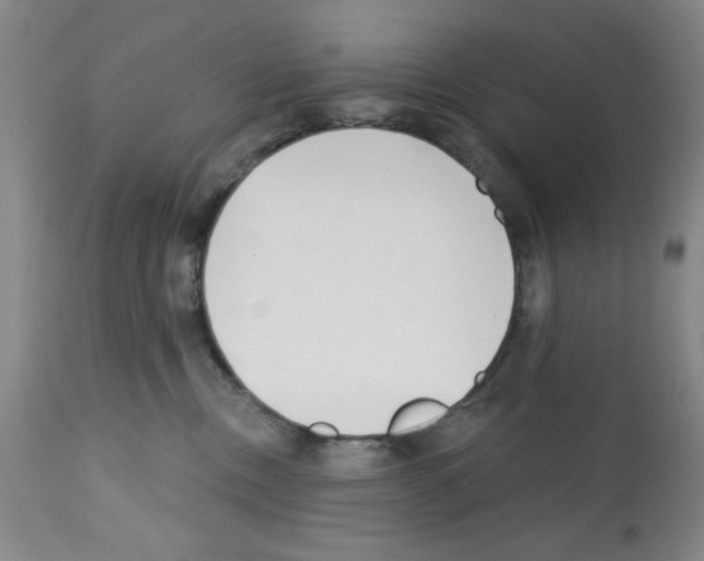 X0000113200378200910221045