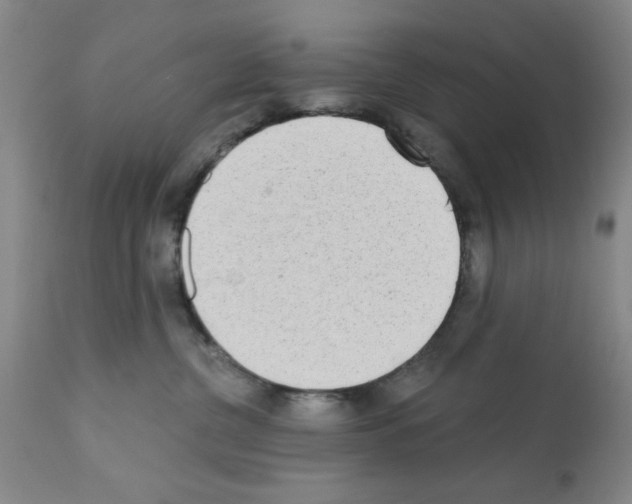 X0000113200380200910221045