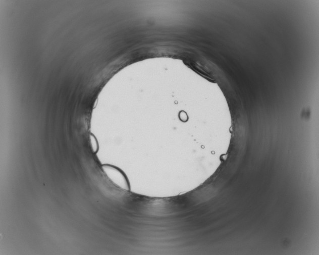 X0000113200382200910221045