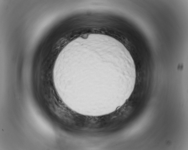 X0000113200383200910221045