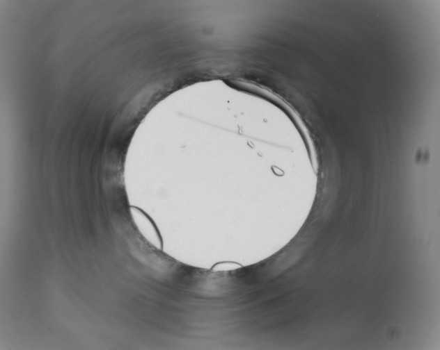 X0000113200384200910221045
