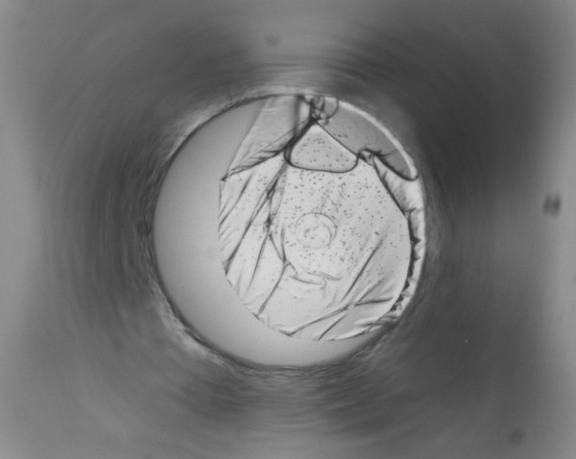 X0000113200385200910221045