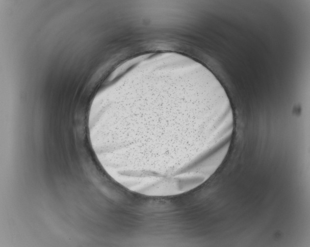 X0000113200386200910221045