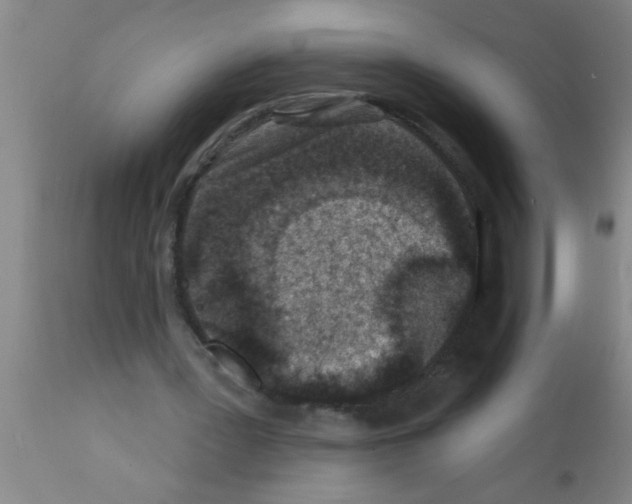 X0000113200387200910221045