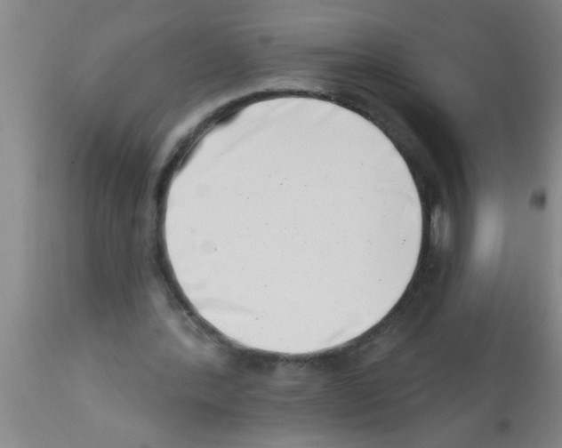 X0000113200388200910221045
