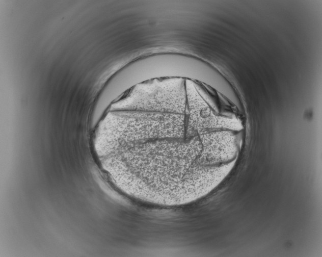 X0000113200389200910221045