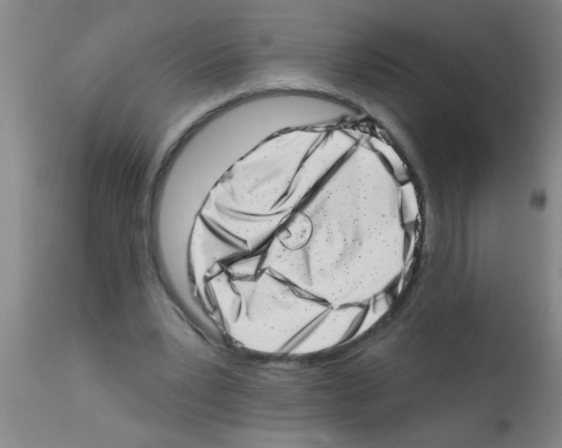 X0000113200391200910221045