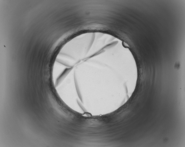 X0000113200392200910221045