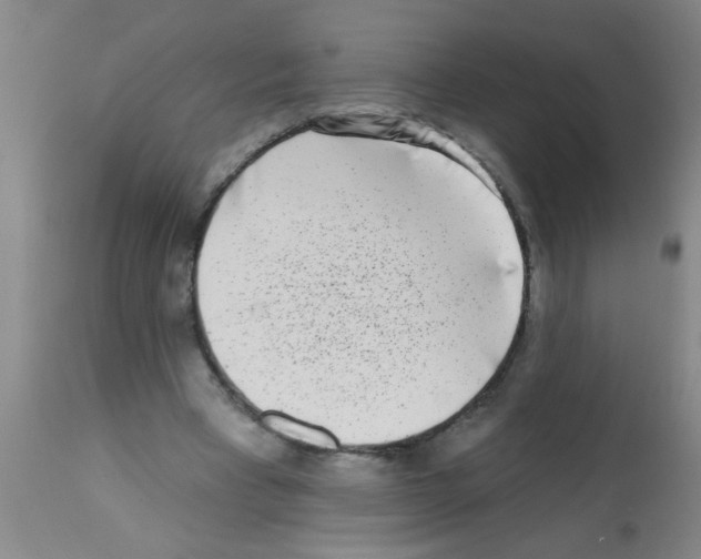 X0000113200393200910221045