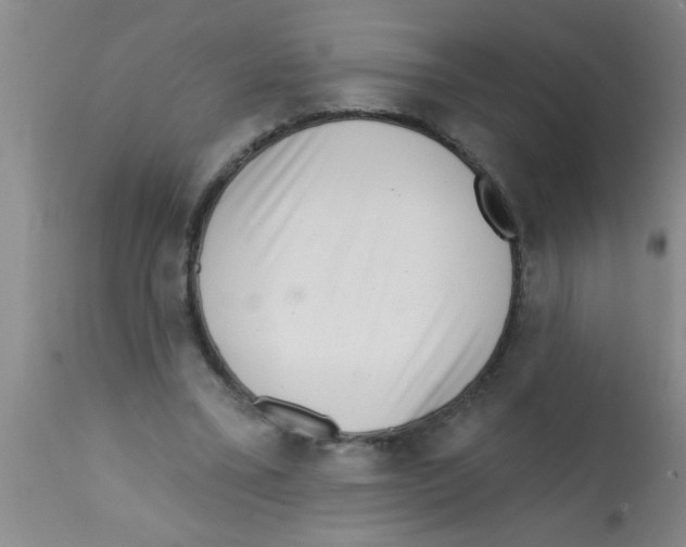 X0000113200395200910221045