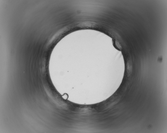 X0000113200396200910221045