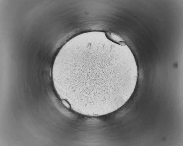 X0000113200397200910221045