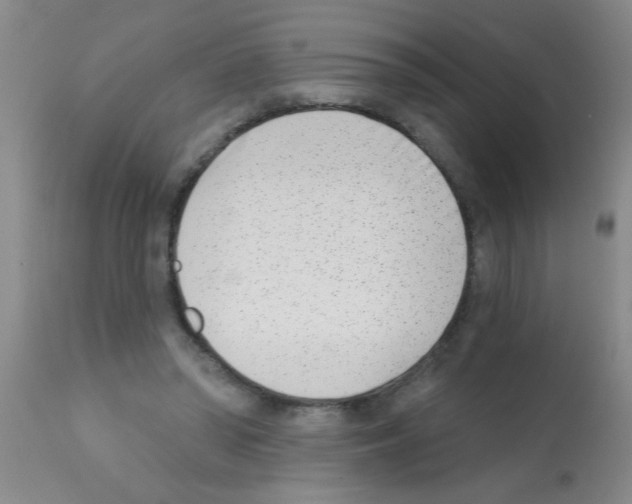 X0000113200398200910221045
